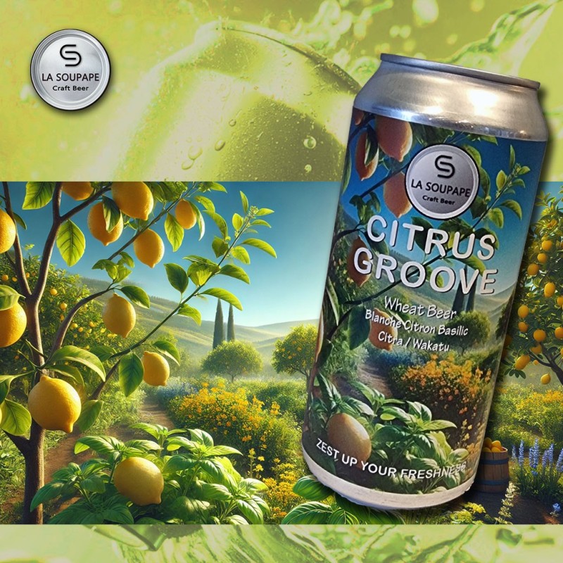 Bière Wheat beer Citrus Groove Bière Wheat beer Citrus Groove