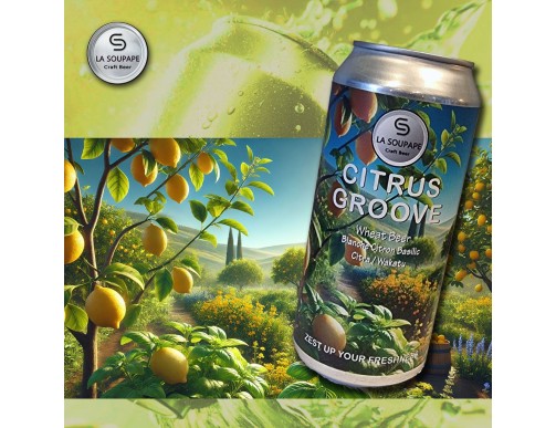 Bière Citrus Groove
