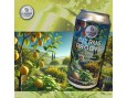 Bière Wheat beer Citrus Groove Bière Wheat beer Citrus Groove