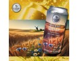 Bière Kolsch Golden Crisp Bière Kolsch Golden Crisp